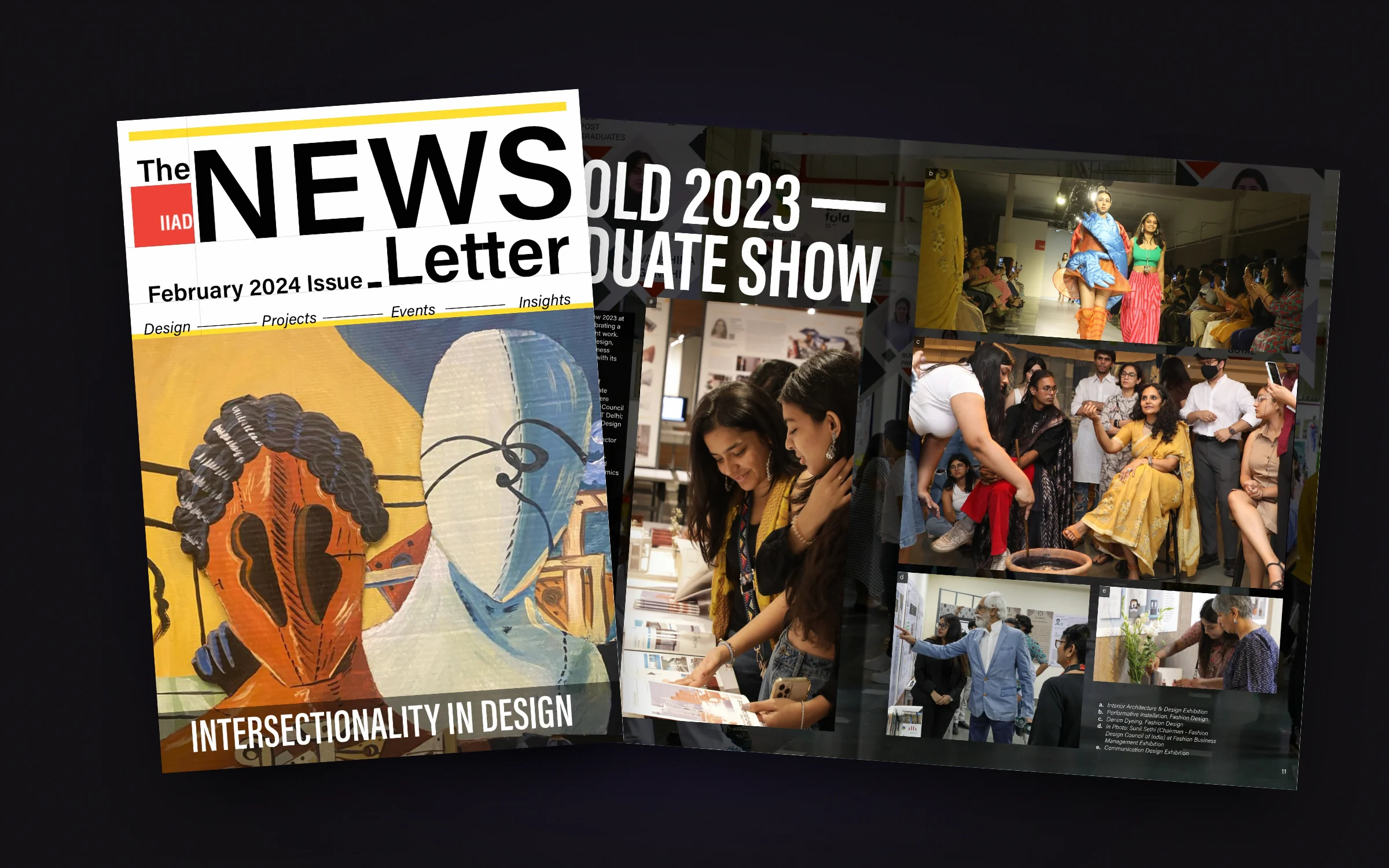 IIAD newsletter spreads